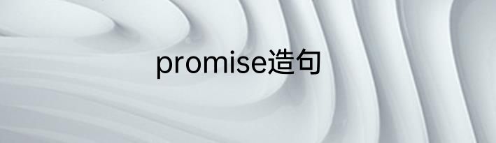 promise造句