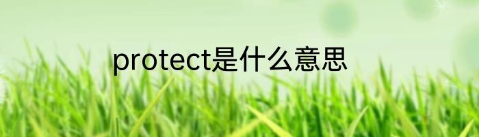 protect是什么意思