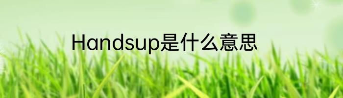 Handsup是什么意思