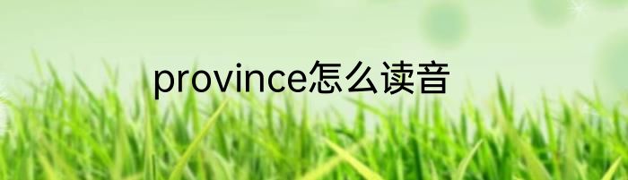 province怎么读音