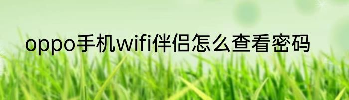 oppo手机wifi伴侣怎么查看密码