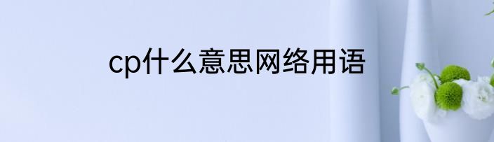 cp什么意思网络用语