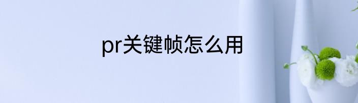 pr关键帧怎么用