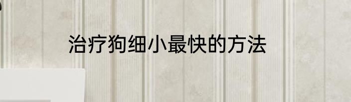 治疗狗细小最快的方法