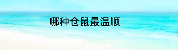 哪种仓鼠最温顺