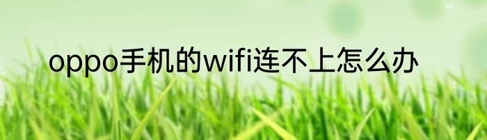 oppo手机的wifi连不上怎么办