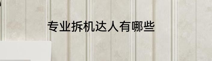 专业拆机达人有哪些