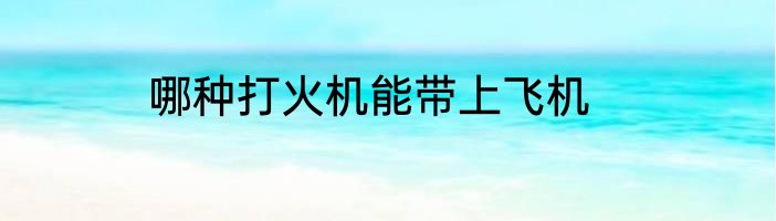 哪种打火机能带上飞机