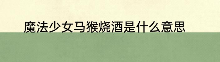 魔法少女马猴烧酒是什么意思