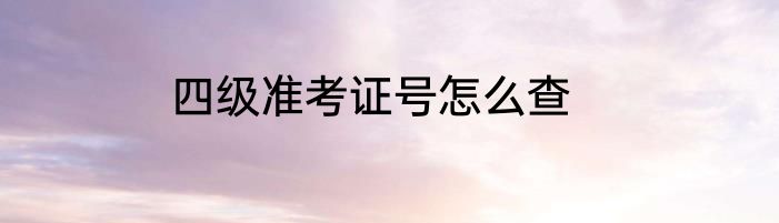 四级准考证号怎么查