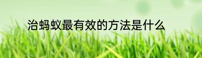 治蚂蚁最有效的方法是什么