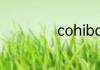 cohiba多少钱一支
