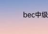 bec中级适合什么人考
