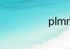 plmm什么意思