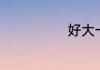 好大一棵树歌词