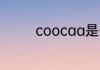 coocaa是什么牌子的电视