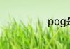 pog是什么意思