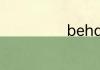behavior可数吗