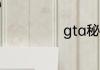 gta秘籍怎么输入