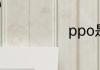 ppo是什么意思