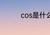 cos是什么意思网络用语