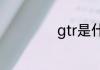 gtr是什么车的标志