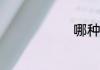 哪种蚕会咬人