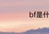 bf是什么手机简称