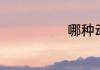 哪种动物被称为