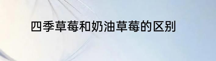 四季草莓和奶油草莓的区别