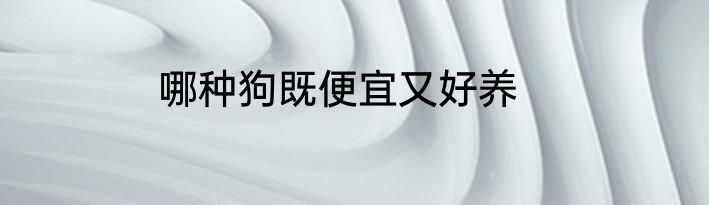 哪种狗既便宜又好养