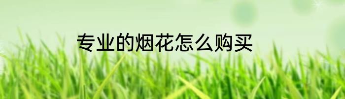 专业的烟花怎么购买