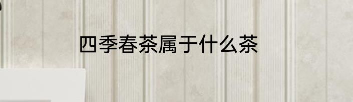 四季春茶属于什么茶