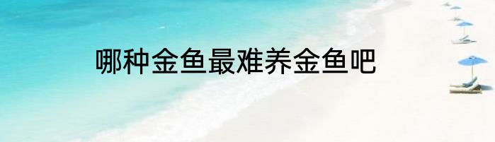 哪种金鱼最难养金鱼吧