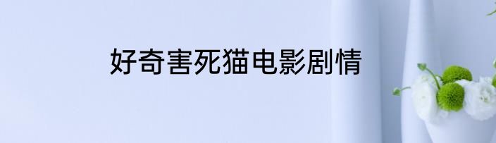好奇害死猫电影剧情