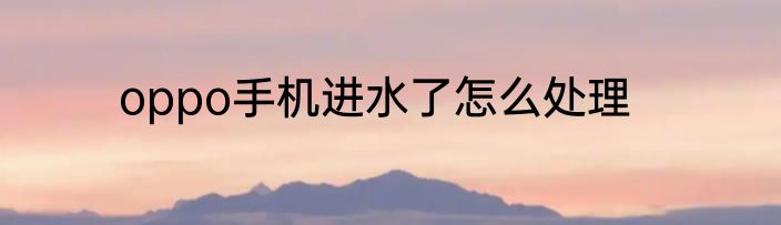 oppo手机进水了怎么处理