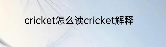 cricket怎么读cricket解释
