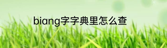 biang字字典里怎么查