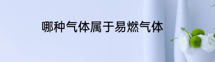 哪种气体属于易燃气体
