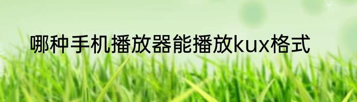 哪种手机播放器能播放kux格式