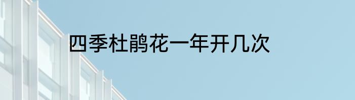 四季杜鹃花一年开几次