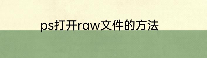 ps打开raw文件的方法