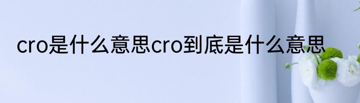 cro是什么意思cro到底是什么意思