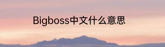 Bigboss中文什么意思