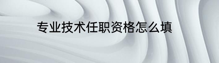 专业技术任职资格怎么填
