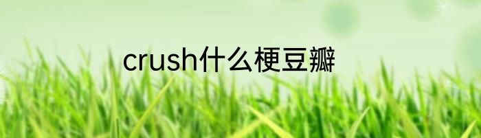 crush什么梗豆瓣
