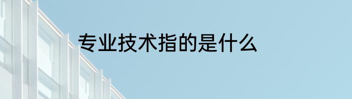 专业技术指的是什么