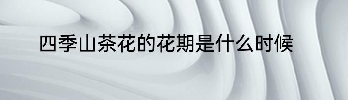四季山茶花的花期是什么时候