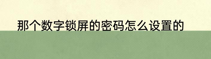 那个数字锁屏的密码怎么设置的