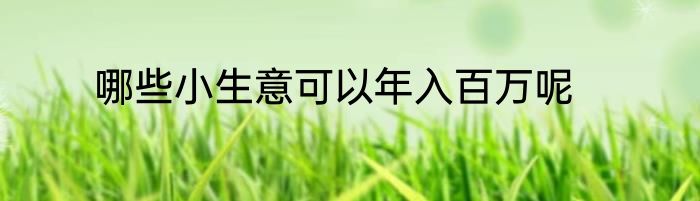 哪些小生意可以年入百万呢